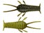 Great Lakes Finesse Ned Bug