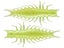 Great Lakes Finesse Juicy Hellgrammite 2.4" 8pk