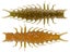 Great Lakes Finesse Juicy Hellgrammite 2.4" 8pk