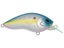 Grass Roots RUNBBIT Crankbait Sexy Shad MH