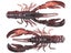 HEADBANGER RawCraw