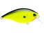 Black Back Chartreuse