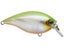 Ghost Pearl Chartreuse Back