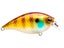 Natural Bluegill