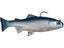 Huddleston 6" Trout Blue Shad ROF 12