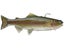 Hawg Hunter Magnum Trout Swimbait TW Hatchery Trout