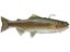 Hawg Hunter Magnum Trout Swimbait