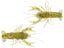 Huddleston Hand Painted Unrigged Huddle Bug 3pk