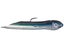 Hookup Baits Tube Jig