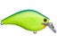 Ichikawa Rick Clunn RC King Kong Shad 05 Crankbaits