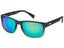 John Crews Polarized Sunglasses