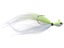 Chartreuse Shad