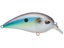 Jenko Fishing CD Squarebill Crankbaits 