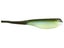 Bronze Shad