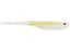 White Shad