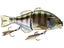 Jackall Gantarel Swimbaits