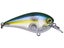 Jackall MC60 Crankbait SR