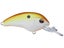 Rootbeer Shad