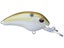 Tennessee Shad