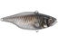 RT Scale Minnow