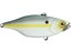 SS SHAD