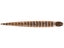 Keitech Custom Leech 10pk
