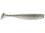 Silver Flash Minnow