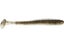Gold Flash Minnow