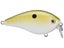 Tennessee Shad