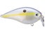 Chart Shad