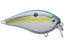 Chrome Sexy Shad