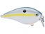 Sexy Shad