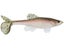 Little Creeper All American 8" Trash Fish Swimbaits