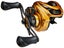 Lew's Custom Pro Gen 3 Casting Reel