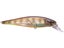 Flake Flake Striped Gill