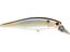 Pearl Threadfin
