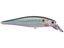 Live Threadfin Shad