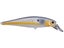 Gold Threadfin Shad
