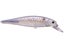 Live Striped Shad