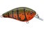 Livingston FlatMaster SQ Tournament Crankbait
