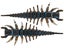 Lunkerhunt Finesse Hellgrammite 8pk