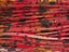 Skirts Unlimited Living Image Skirts 10pk