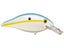 Blue Shad