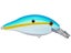 Citrus Shad