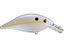 Sexy Shad