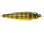 Livingston EBS Jigging Spoon