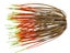Lure Parts Online Bass Academy DT Pro Jig Skirts 5pk