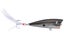Tennessee Shad