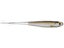 LIVETARGET Ghost Tail Minnow