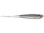 LIVETARGET Ghost Tail Minnow